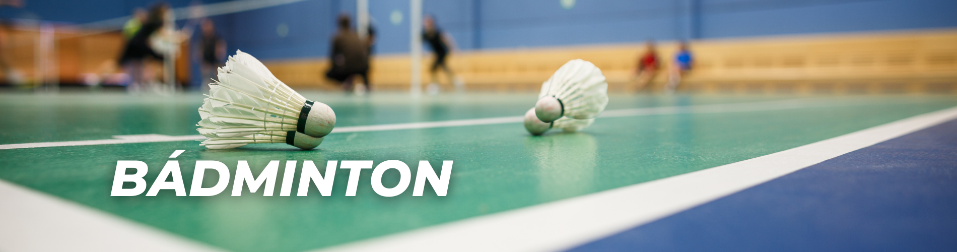 Bádminton