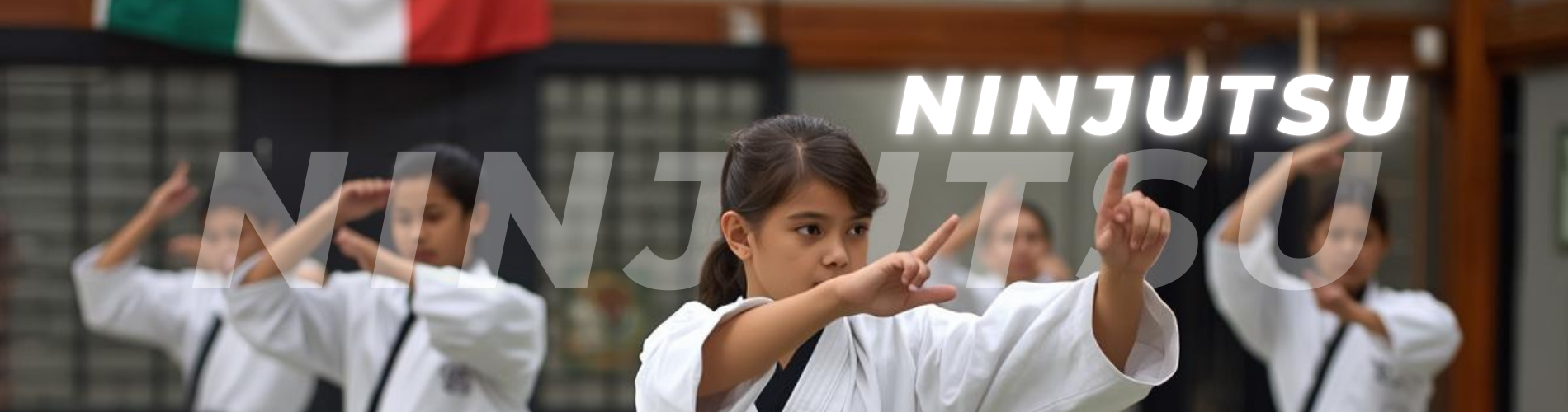 Ninjutsu