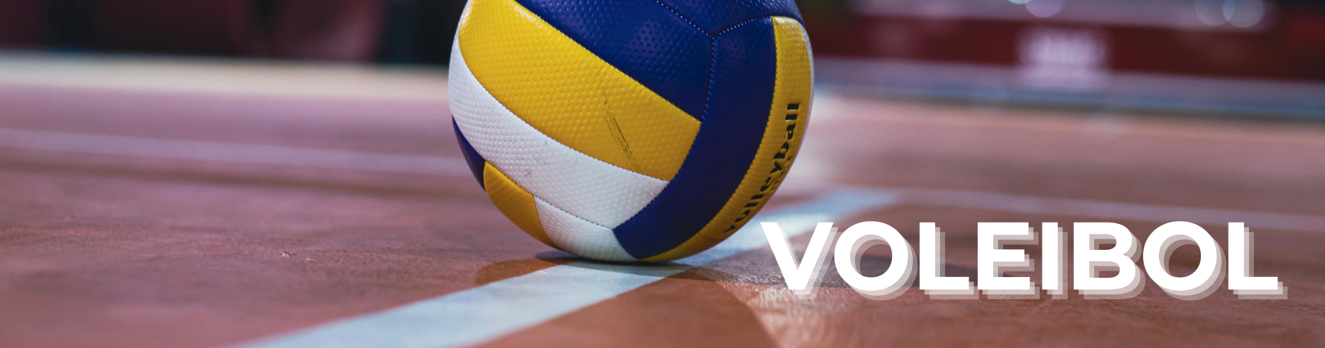 Voleibol